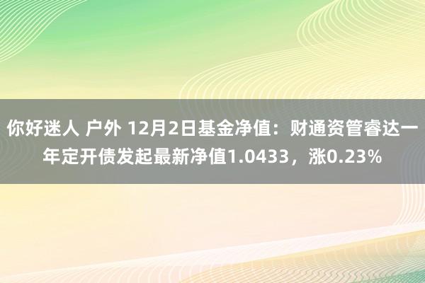 你好迷人 户外 12月2日基金净值：财通资管睿达一年定开债发起最新净值1.0433，涨0.23%