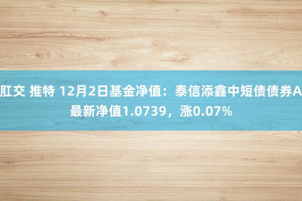 肛交 推特 12月2日基金净值：泰信添鑫中短债债券A最新净值1.0739，涨0.07%