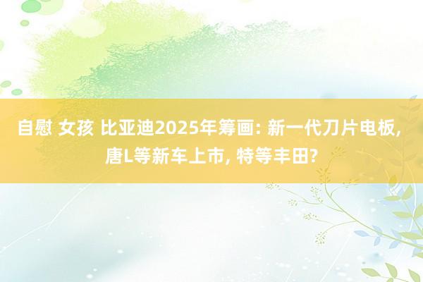 自慰 女孩 比亚迪2025年筹画: 新一代刀片电板， 唐L等新车上市， 特等丰田?