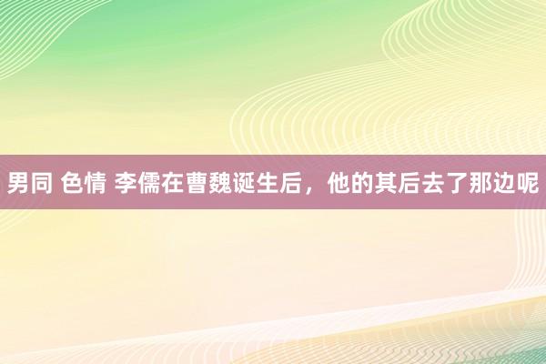 男同 色情 李儒在曹魏诞生后，他的其后去了那边呢