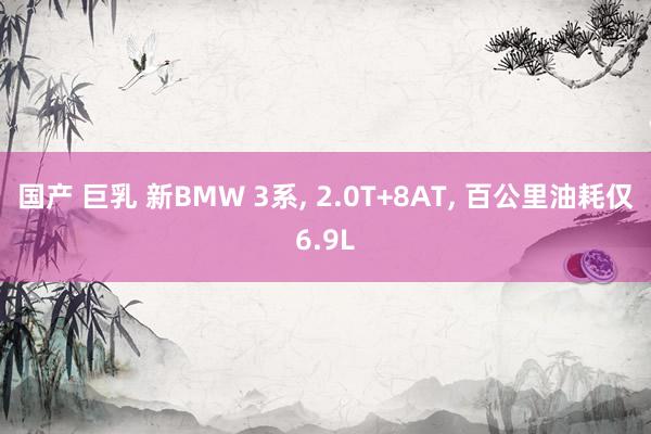 国产 巨乳 新BMW 3系， 2.0T+8AT， 百公里油耗仅6.9L