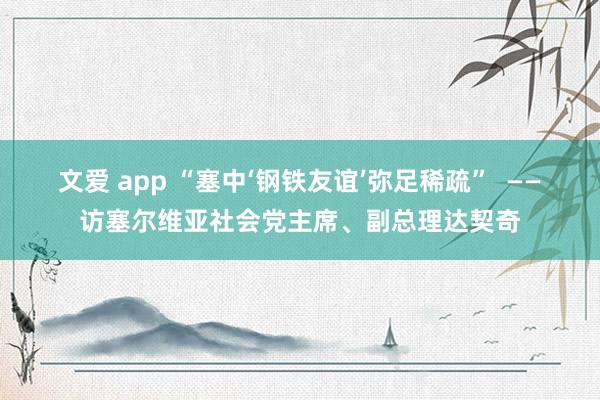 文爱 app “塞中‘钢铁友谊’弥足稀疏”  ——访塞尔维亚社会党主席、副总理达契奇