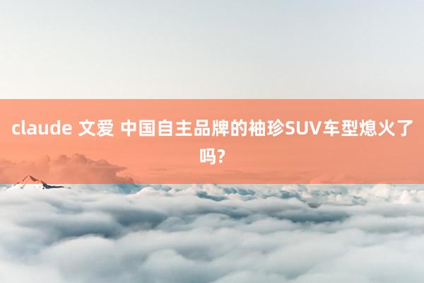 claude 文爱 中国自主品牌的袖珍SUV车型熄火了吗?