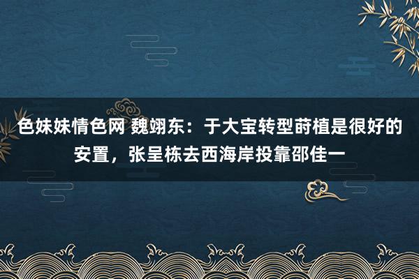 色妹妹情色网 魏翊东：于大宝转型莳植是很好的安置，张呈栋去西海岸投靠邵佳一