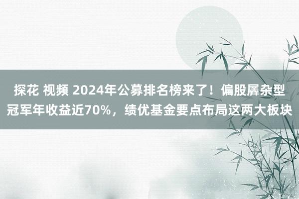 探花 视频 2024年公募排名榜来了！偏股羼杂型冠军年收益近70%，绩优基金要点布局这两大板块