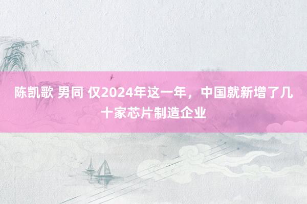 陈凯歌 男同 仅2024年这一年，中国就新增了几十家芯片制造企业