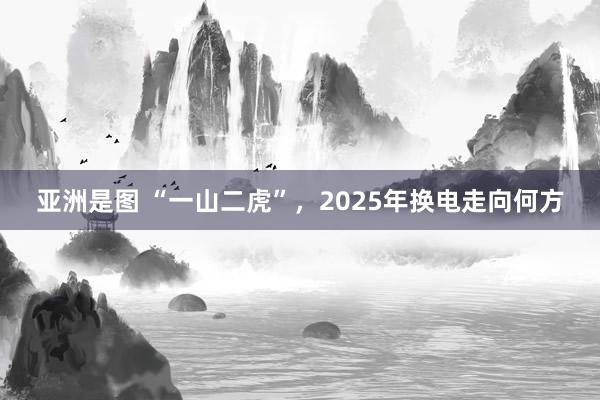 亚洲是图 “一山二虎”，2025年换电走向何方