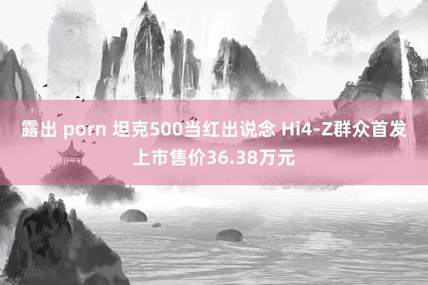 露出 porn 坦克500当红出说念 Hi4-Z群众首发上市售价36.38万元