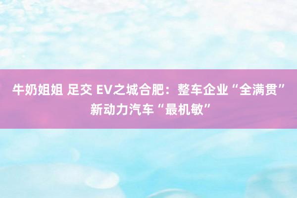 牛奶姐姐 足交 EV之城合肥：整车企业“全满贯” 新动力汽车“最机敏”