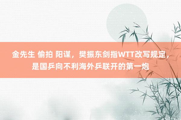 金先生 偷拍 阳谋，樊振东剑指WTT改写规定，是国乒向不利海外乒联开的第一炮