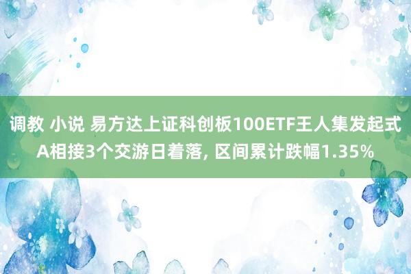 调教 小说 易方达上证科创板100ETF王人集发起式A相接3个交游日着落， 区间累计跌幅1.35%